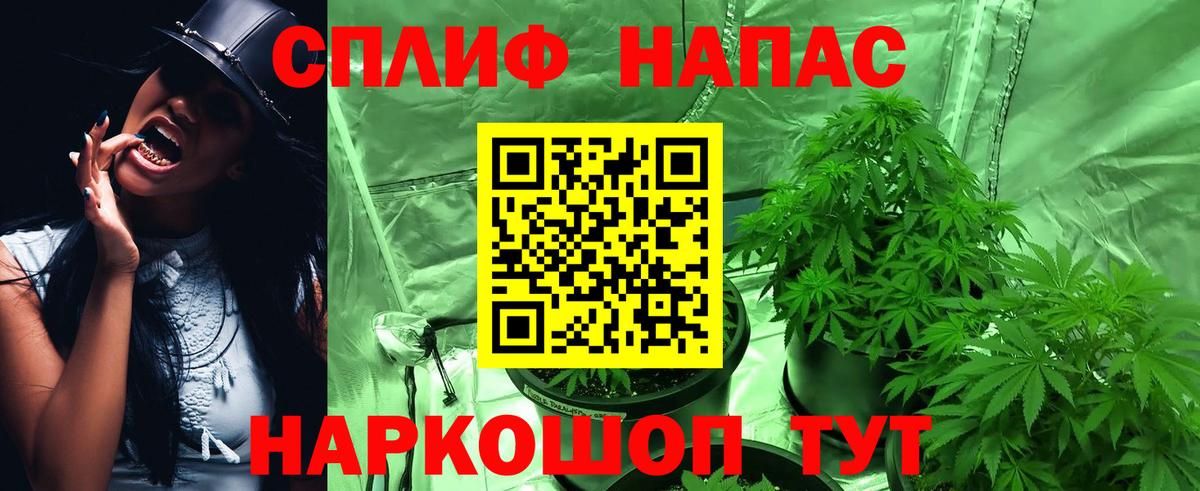 МАРИХУАНА семена  Вход с VPN  Конопля SATIVA & INDICA  Конопля MAZAR  Реутов 